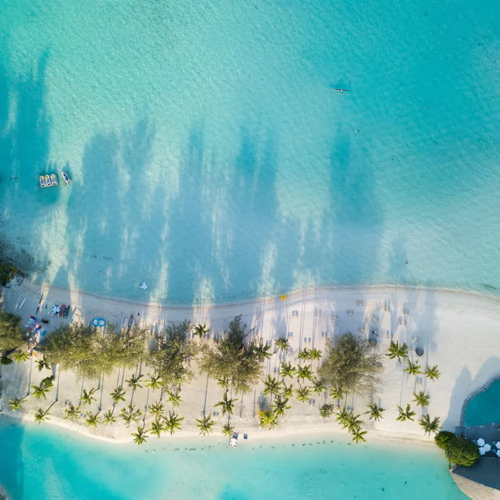 lingua di spiaggia polinesia