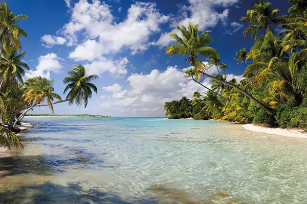 isole_cook_1